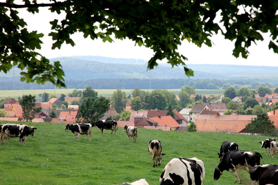 Dorf-Landschaft